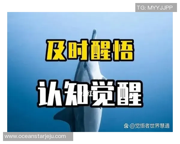 303神秘人揭开自由的面纱探索未知与自我解放的旅程