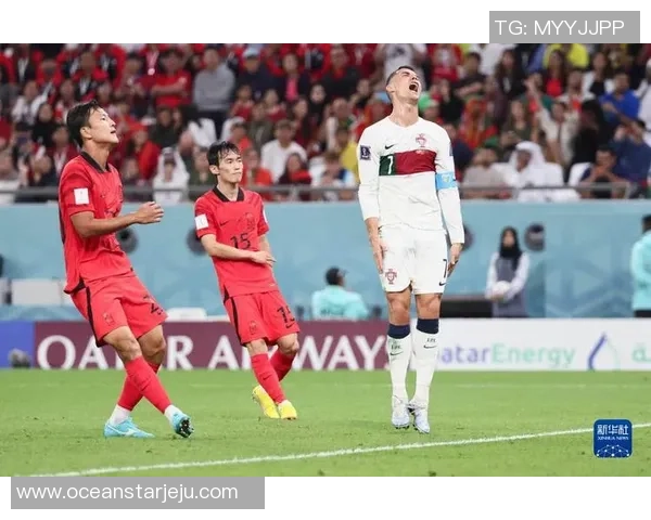 2010年世界杯精彩回顾韩国与葡萄牙的激烈对决与历史意义